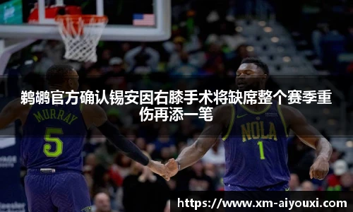 鹈鹕官方确认锡安因右膝手术将缺席整个赛季重伤再添一笔